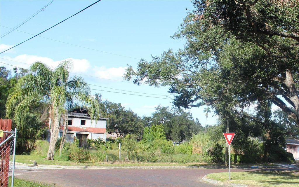 Photo of 414 E Emily & 167408-0000 Street, Tampa, FL 33603 (MLS # TB8441680)