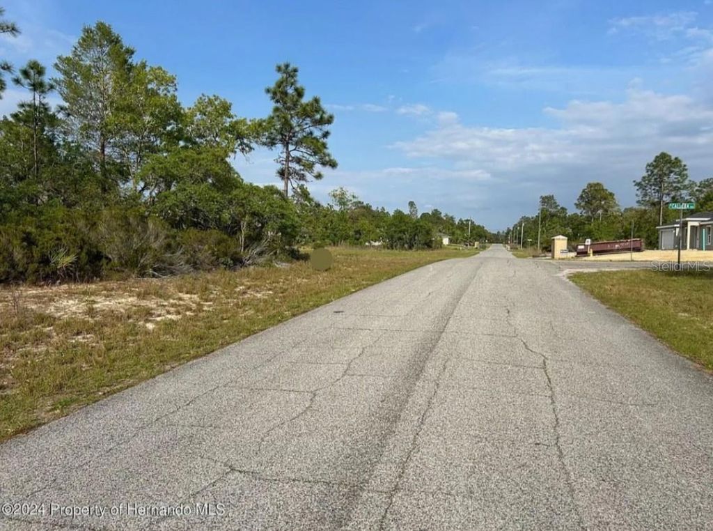 Photo of 2923 W Pintado Drive, Citrus Springs, FL 34433 (MLS # S5143484)