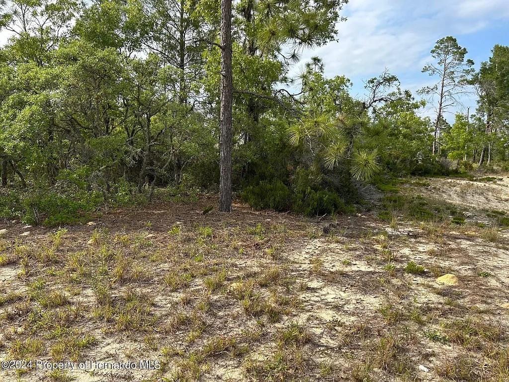 2923 W PINTADO DRIVE