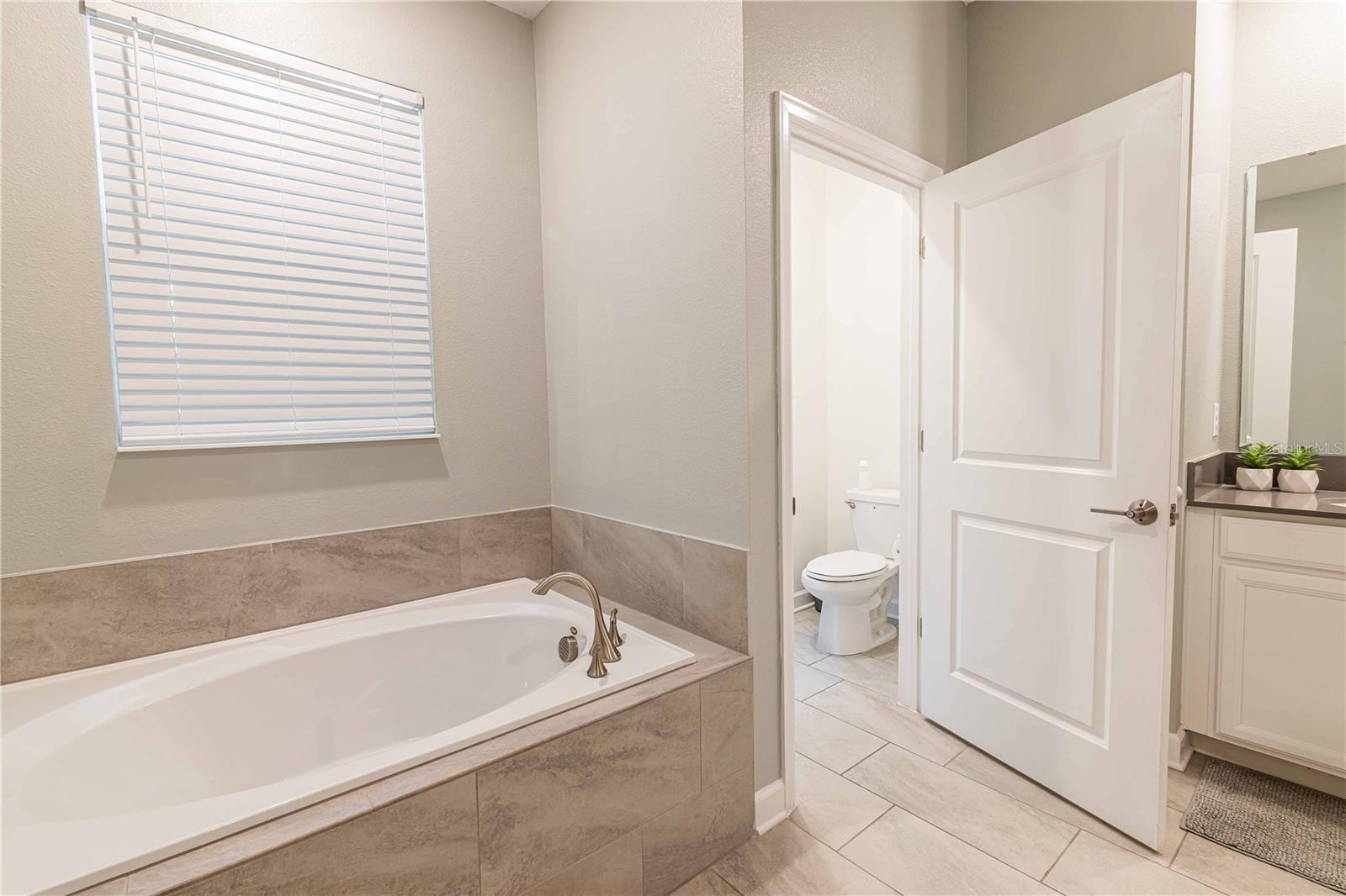 COVE AT STOREY LAKE II - Residential