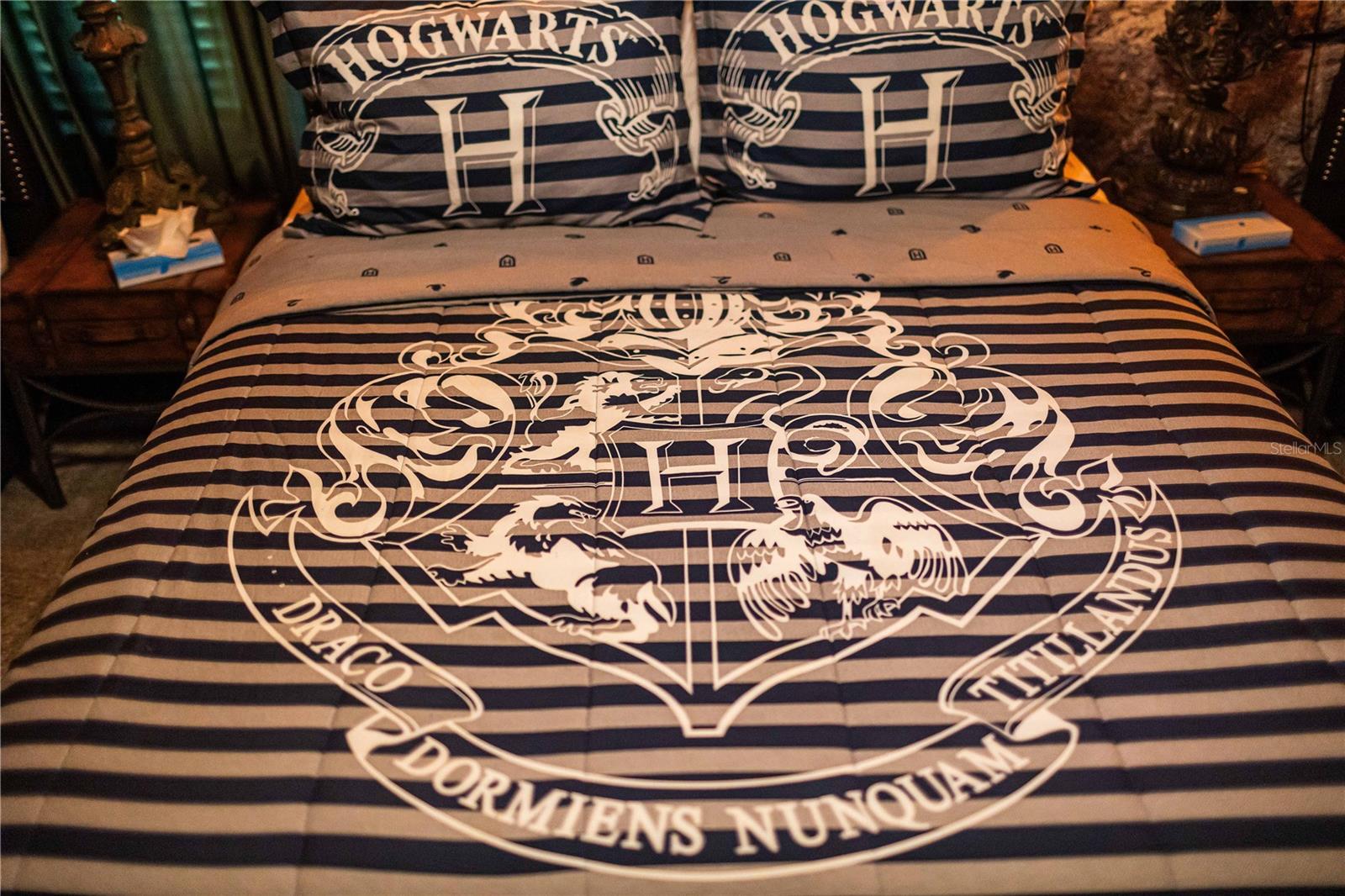 COVE AT STOREY LAKE II - Residential