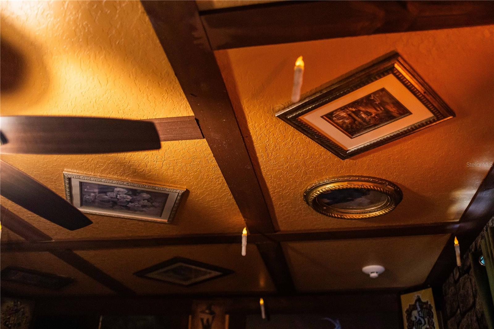 COVE AT STOREY LAKE II - Residential