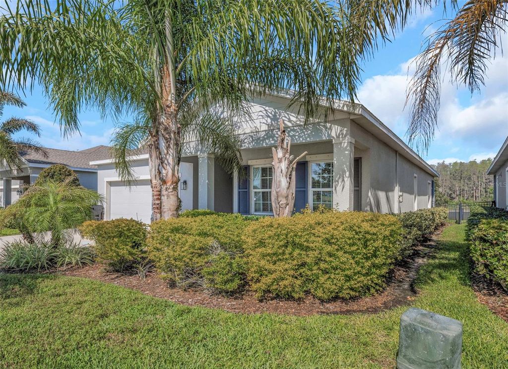 Photo of 2427 Portico Street, Odessa, FL 33556 (MLS # TB8495444)