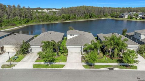 2427 PORTICO STREET ODESSA FL 33556