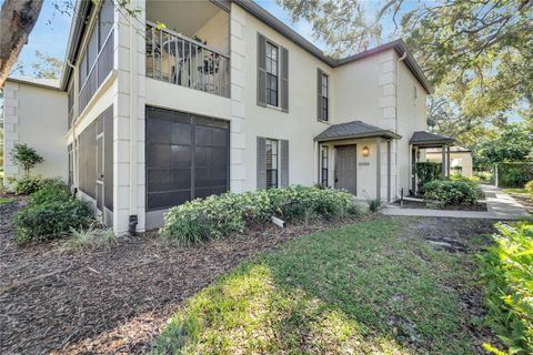 A home in TAMPA