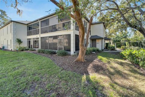 A home in TAMPA