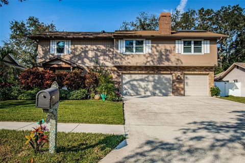 A home in SAFETY HARBOR