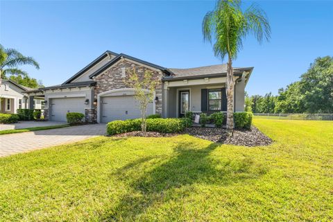 Photo of 19325 Hawk Valley Drive, Tampa, FL 33647 (MLS # TB8372722)