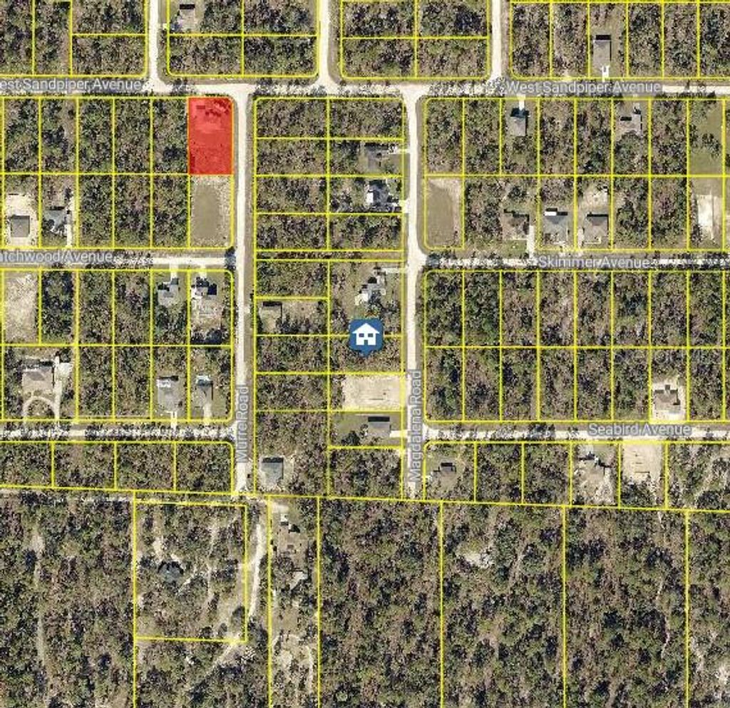 Photo of 14 Magdalena Road, Weeki Wachee, FL 34614 (MLS # W7879475)