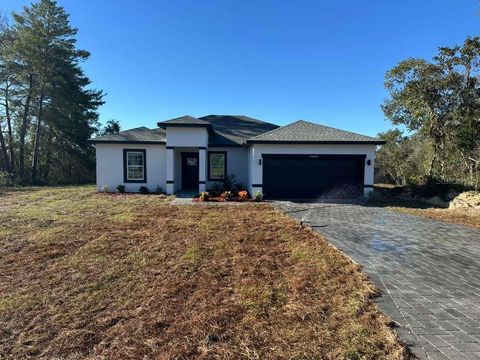 16609 SW 45TH CIRCLE OCALA FL 34473