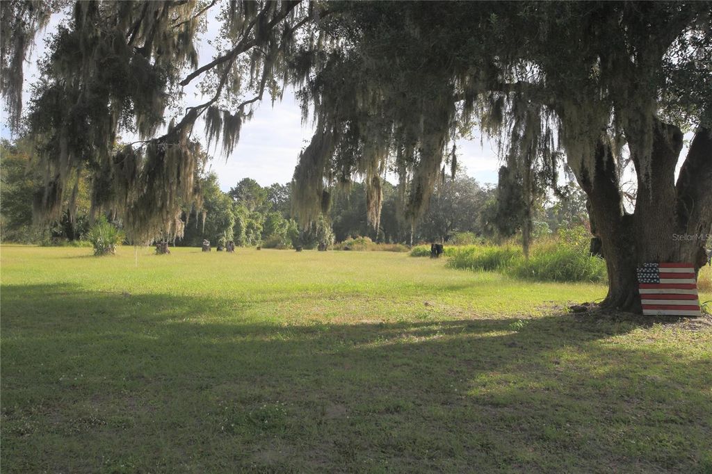 Photo of 11701 SE Highway 464, Ocklawaha, FL 32179 (MLS # OM711967)