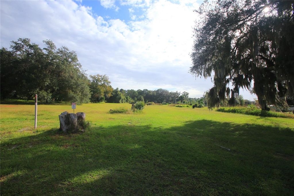 Photo of 11701 SE Highway 464, Ocklawaha, FL 32179 (MLS # OM711967)