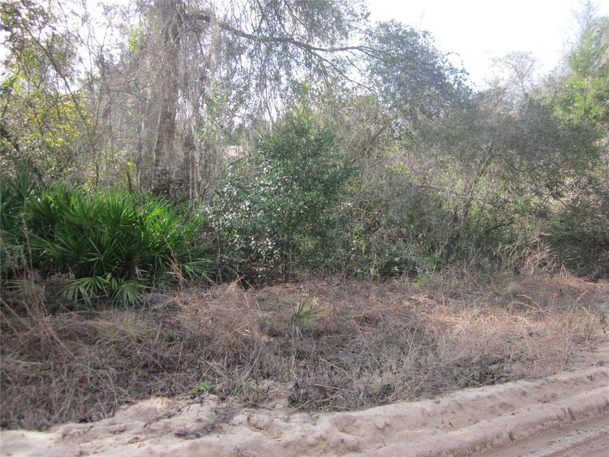 Great opportunity to own a nice .26-acre lot near Lake Ocklawaha. Nice, wooded lot ready for you to put your new home or hunting / fishing cabin on. Located just 1/2 a mile from the Hog Valley Boat Ramp on the Lake. Spend your days Fishing, Boating, Canoeing or Kayaking. Its all up to you. Don't let this on pass you by. Price to sale