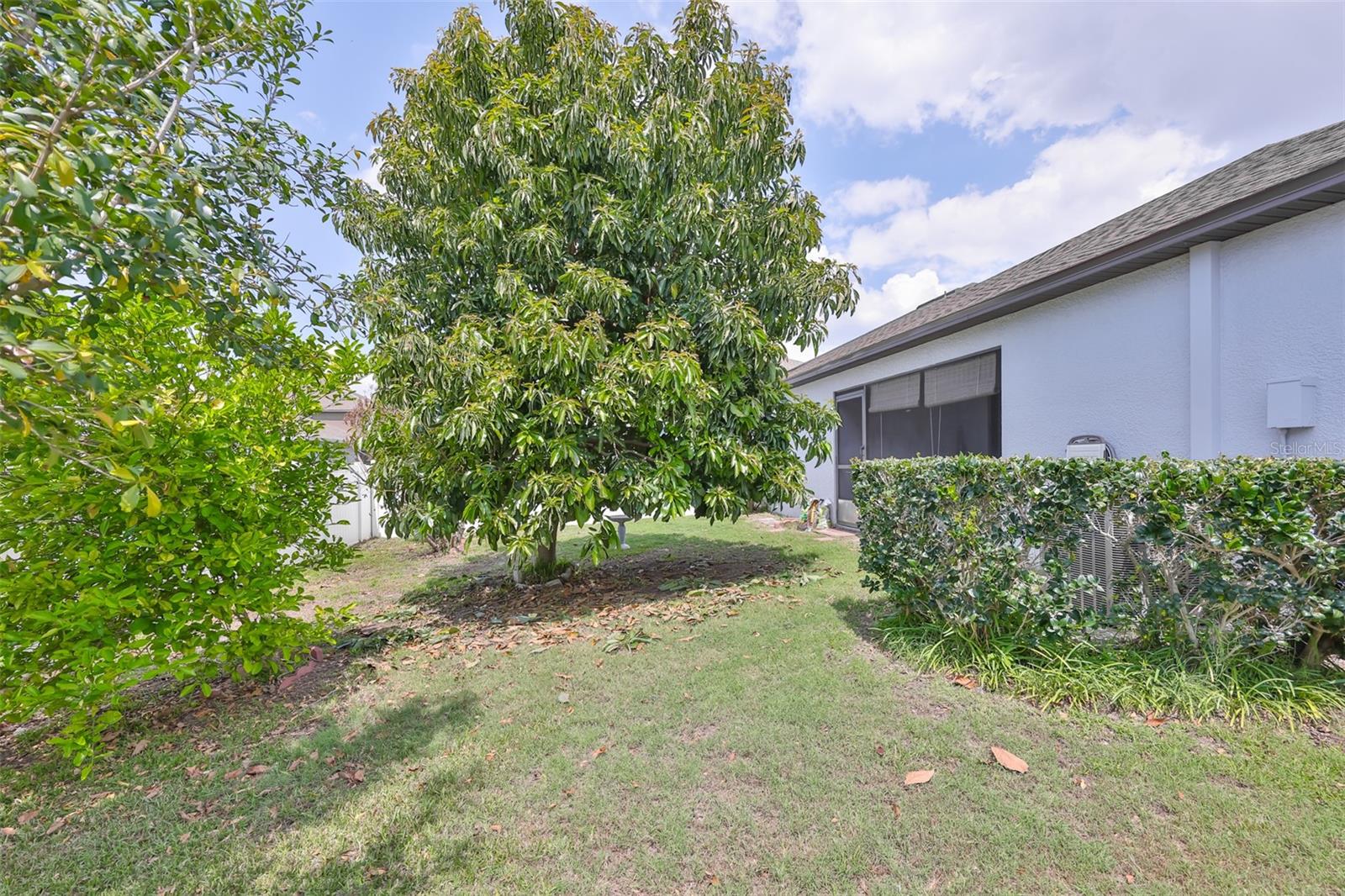 SUMMERFIELD CROSSINGS VILLAGE 2 TR - Residential