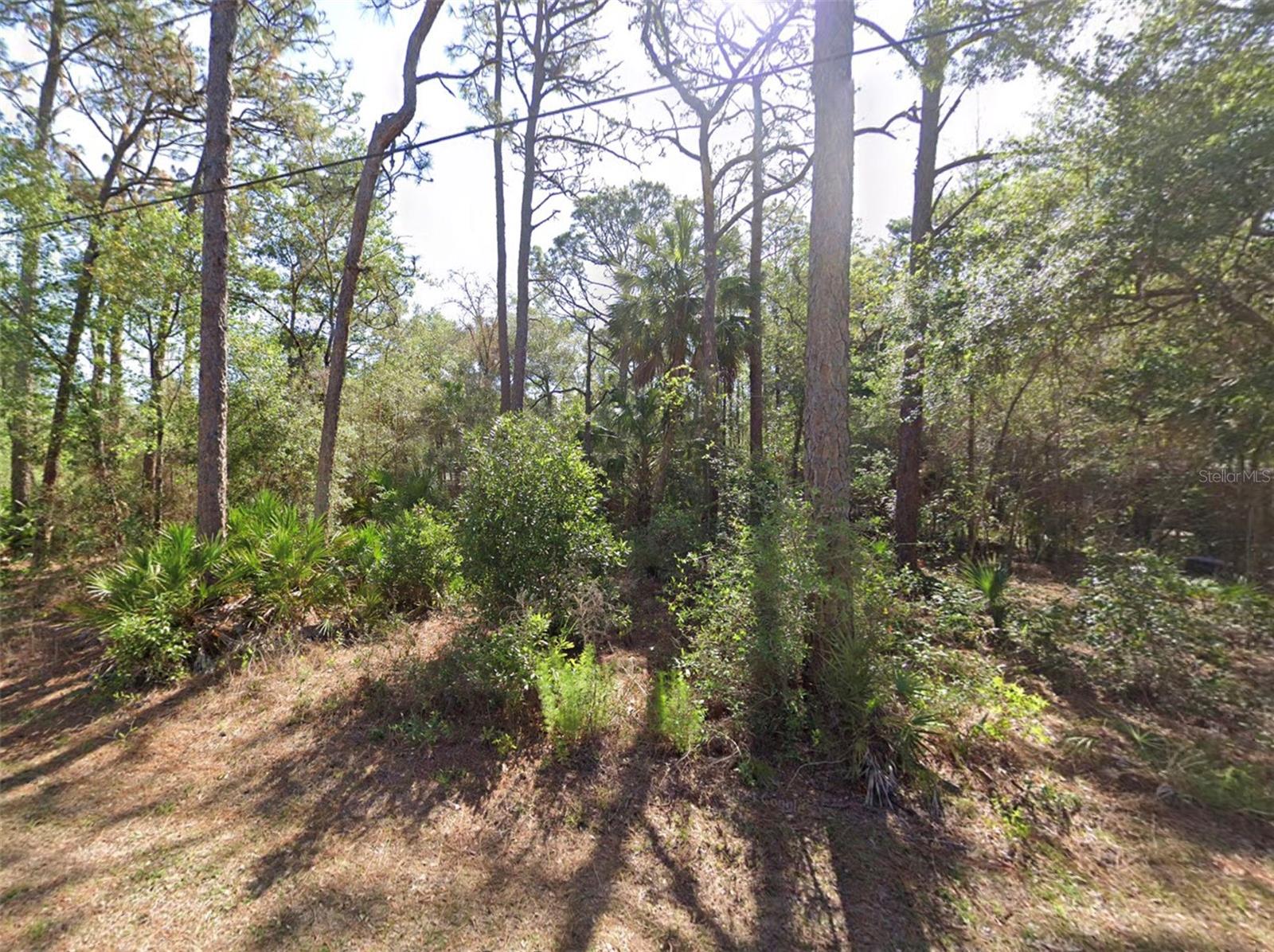 HOLIDAY HEIGHTS UNIT NO. 2 - Land