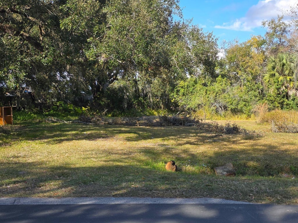 Photo of 403 Greenup Street, Kissimmee, FL 34744 (MLS # S5156562)