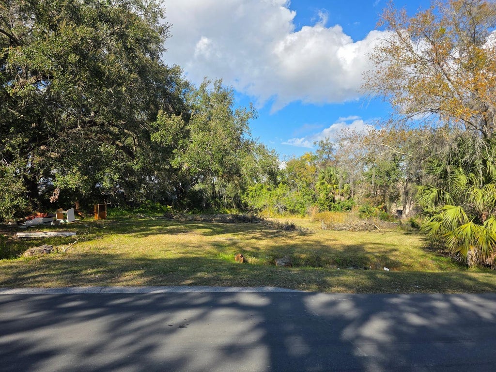 Photo of 403 Greenup Street, Kissimmee, FL 34744 (MLS # S5156562)