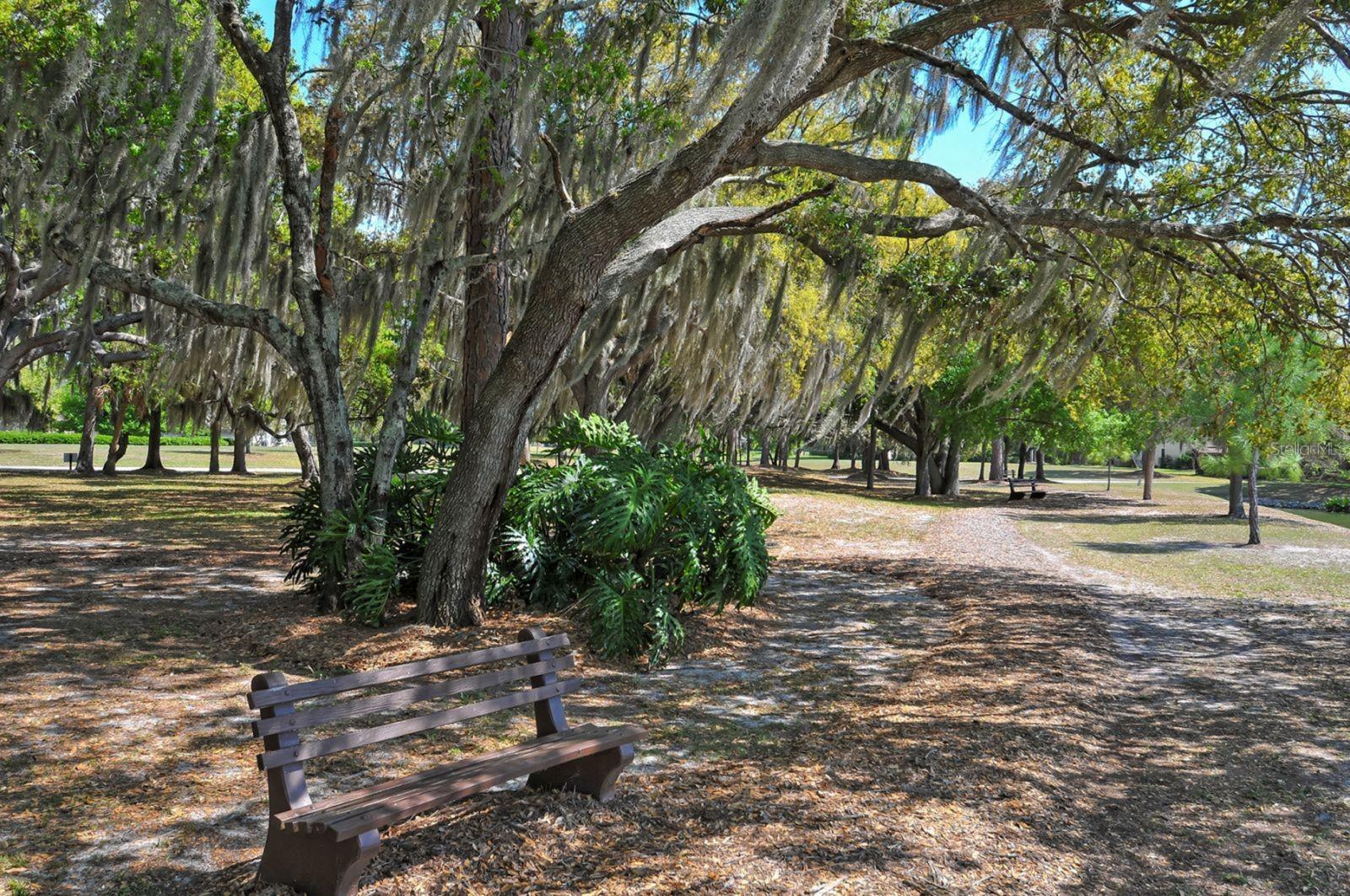 BENT TREE VILLAGE - Residential