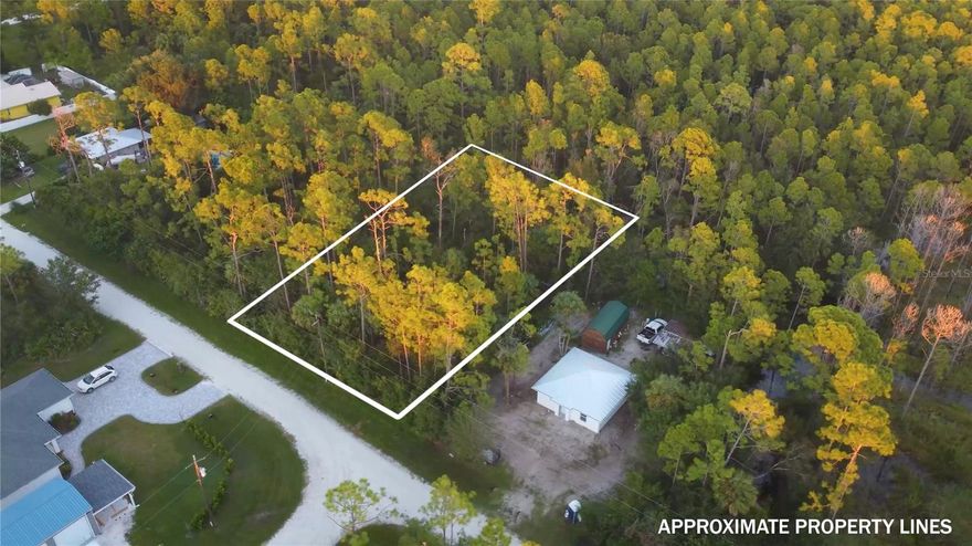 Discover a slice of tranquility in Punta Gorda with this charming 0.17-acre lot on Santa Maria Drive. The flat, treed terrain invites you to envision a cozy home nestled among the whispers of nature. Enjoy the convenience of electricity already on the property, while water and septic systems can be easily established for your future residence. Just a short drive away, explore the beauty of nearby lakes and parks, including Laishley Park and Charlotte Harbor Preserve State Park. With access to major cities like Fort Myers and Cape Coral, this serene retreat balances rural charm with modern accessibility. Remember to watch the video of our drone footage on our website! Sometimes people miss it. It’s the best part! Property Details APN (Parcel Number): 422311355008 County/State: Charlotte, FL Property City: PUNTA GORDA Acreage: 0.166 Lot Lines: 60 ft x 120 ft Zoning: Residential, Flood Zone: Not located within a FEMA flood zone GPS Coordinates: 26.831300, -81.985601 Road Access: Santa Marla Dr Terrain: Treed, Flat Utilities Power: City Electricity/Power is available on the property and ready for hook up Power Company: Florida Power and Lights Water: A well will need to be installed on the property Sewer/Septic: A Septic Tank will need to be installed Natural Gas: Natural gas and propane requires an on-site tank and fuel delivery Taxes & HOA/POA Informationm. Yearly Taxes: $305.70 HOA/POA: No Name of HOA/POA: HOA/POA Dues (Broken up Monthly): Camping / RVs / Mobile Homes Is Camping Allowed?: No. Manufactured Homes Allowed?: No RVs (Recreational Vehicles)