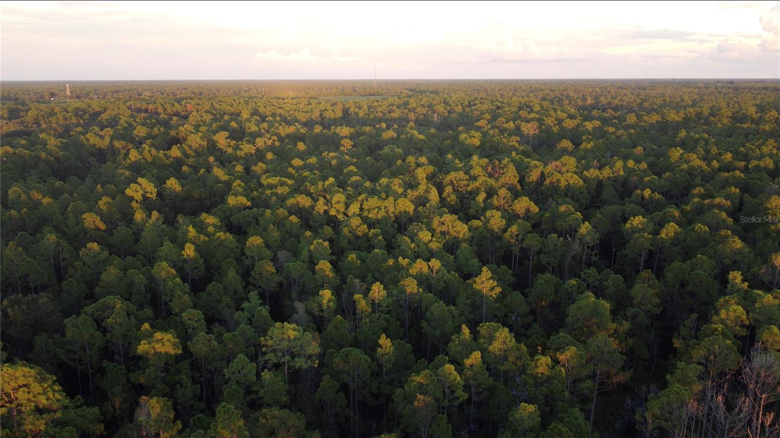 13554 SANTA MARIA DRIVE