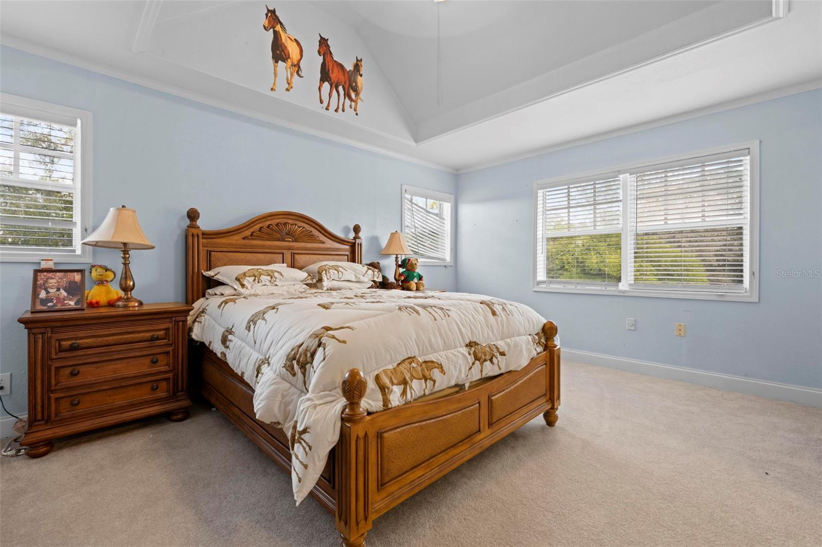 ACREAGE - Residential