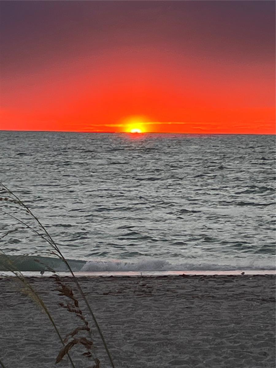 GULF TO BAY - Residential