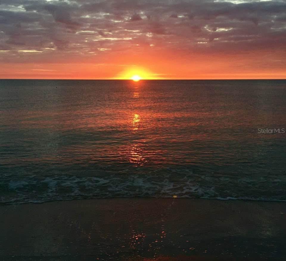 GULF TO BAY - Residential