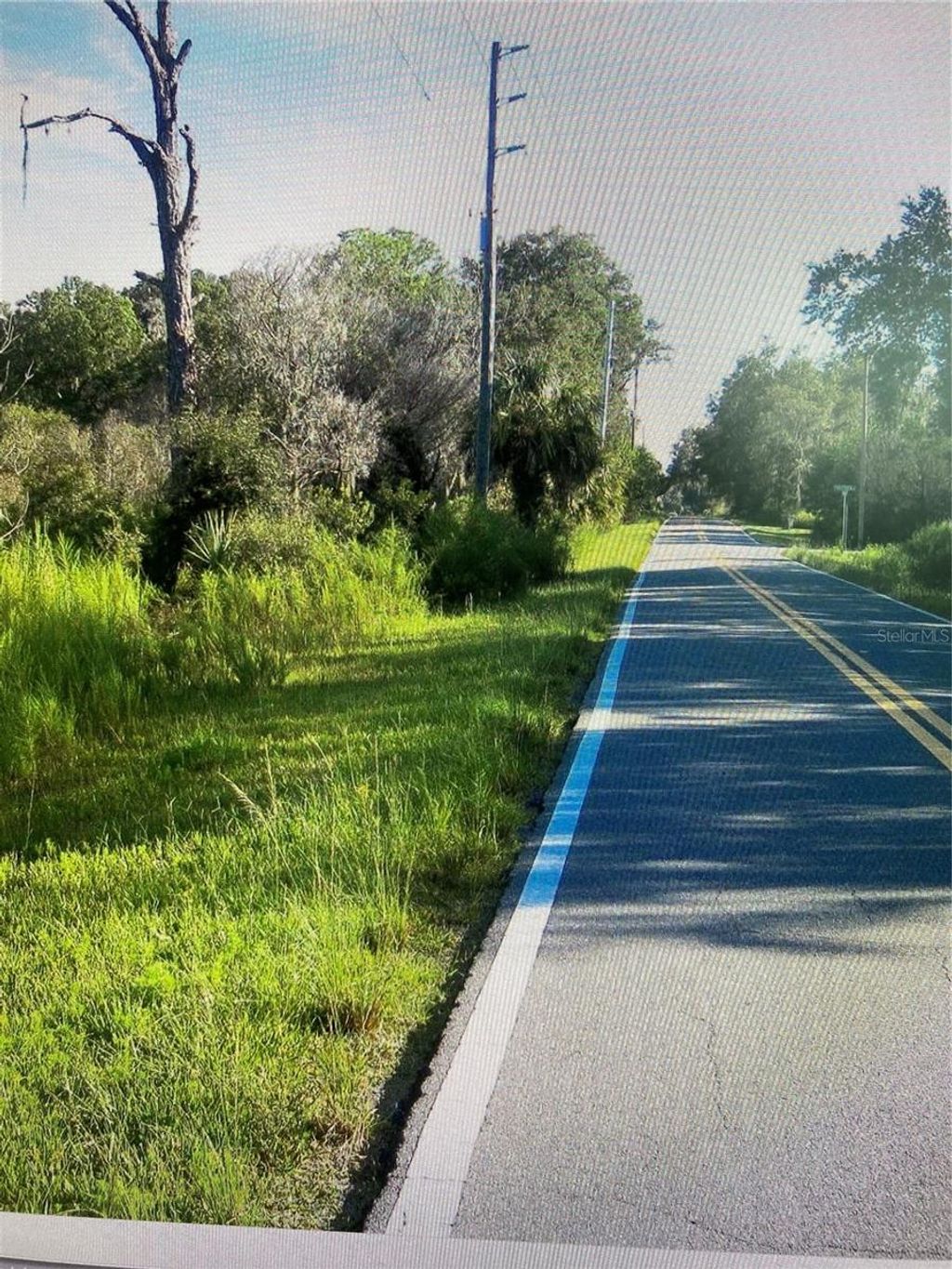 Photo of 9865 N Northcut Avenue, Crystal River, FL 34428 (MLS # TB8398567)