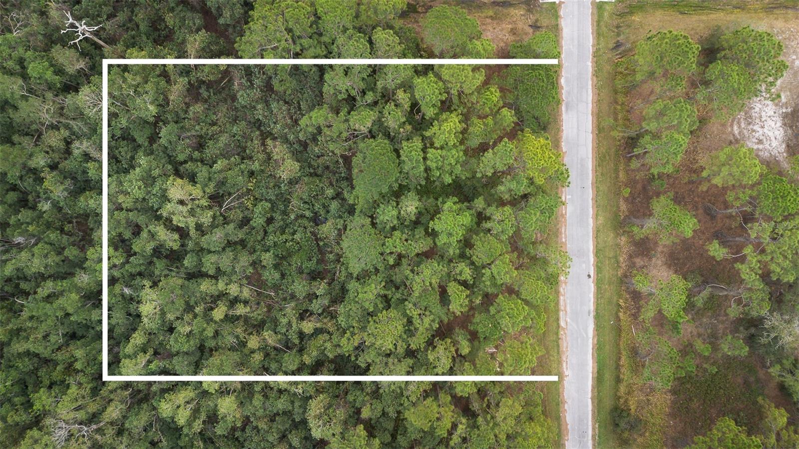 Discover the perfect canvas for your dream home on this pristine 0.18-acre parcel! Offering unparalleled privacy with no neighbors in sight, this secluded and serene setting provides an ideal retreat to design and build your personal oasis.Located in a rapidly growing area, you'll benefit from nearby community colleges, expanded local hospitals, shopping centers, and newly developed schools, making this a fantastic opportunity for both homeowners and investors alike.Don't miss this rare chance to create your perfect escape in a location that offers privacy. Schedule a showing today and start envisioning your future!Buyer to verify HOA fees and restrictions.