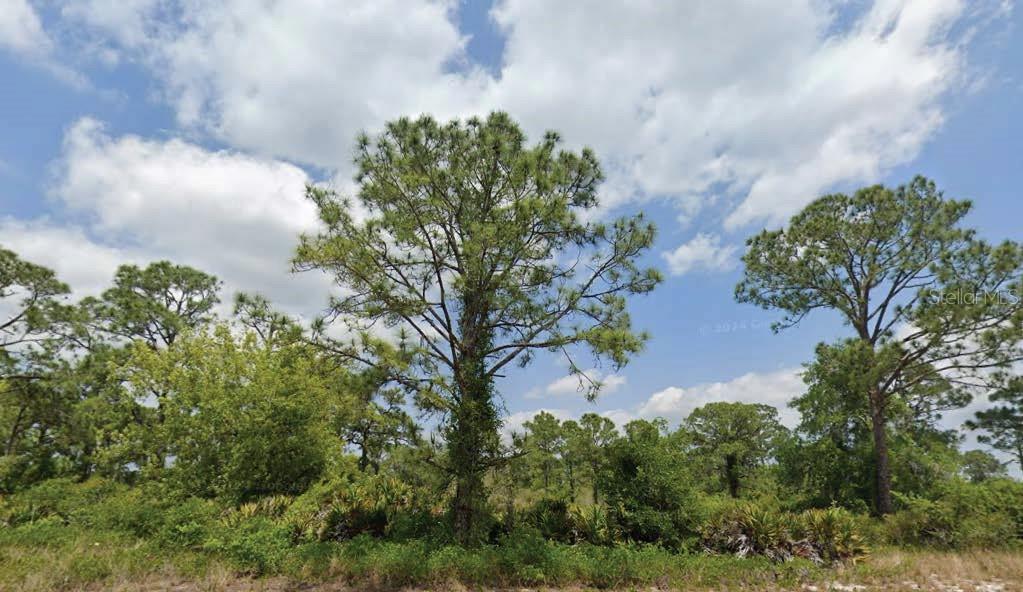 Listing image 1