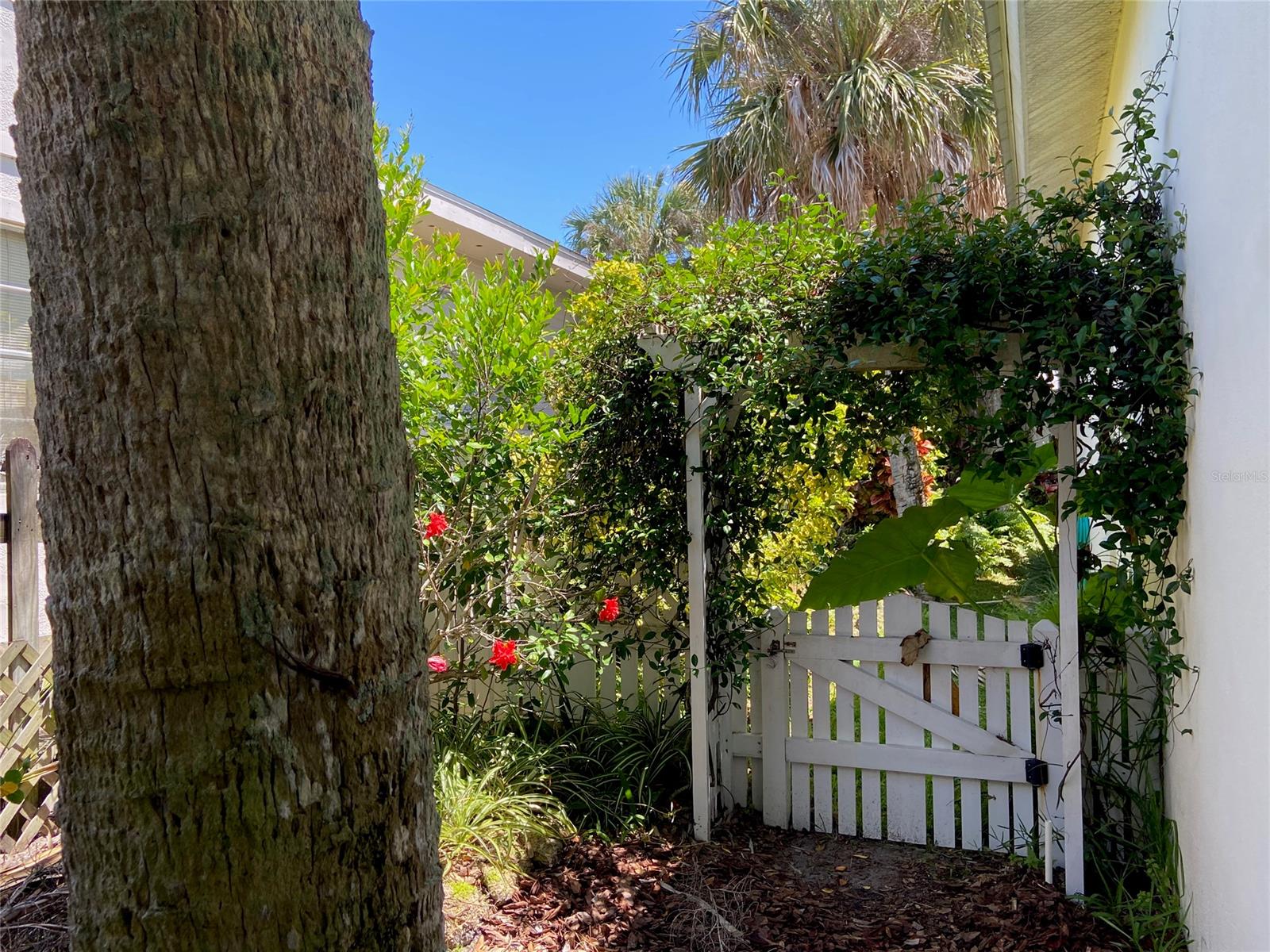 Thoburns New Smyrna Beach - Residential