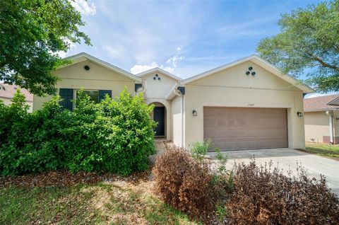 Tiny photo for 13545 Laranja Street, Clermont, FL 34711 (MLS # O6405748)
