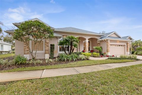 A home in PALM COAST