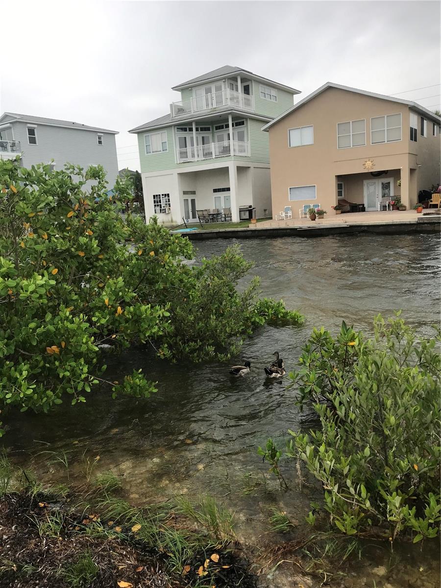 JENSEN PARK VILLAGE - Residential