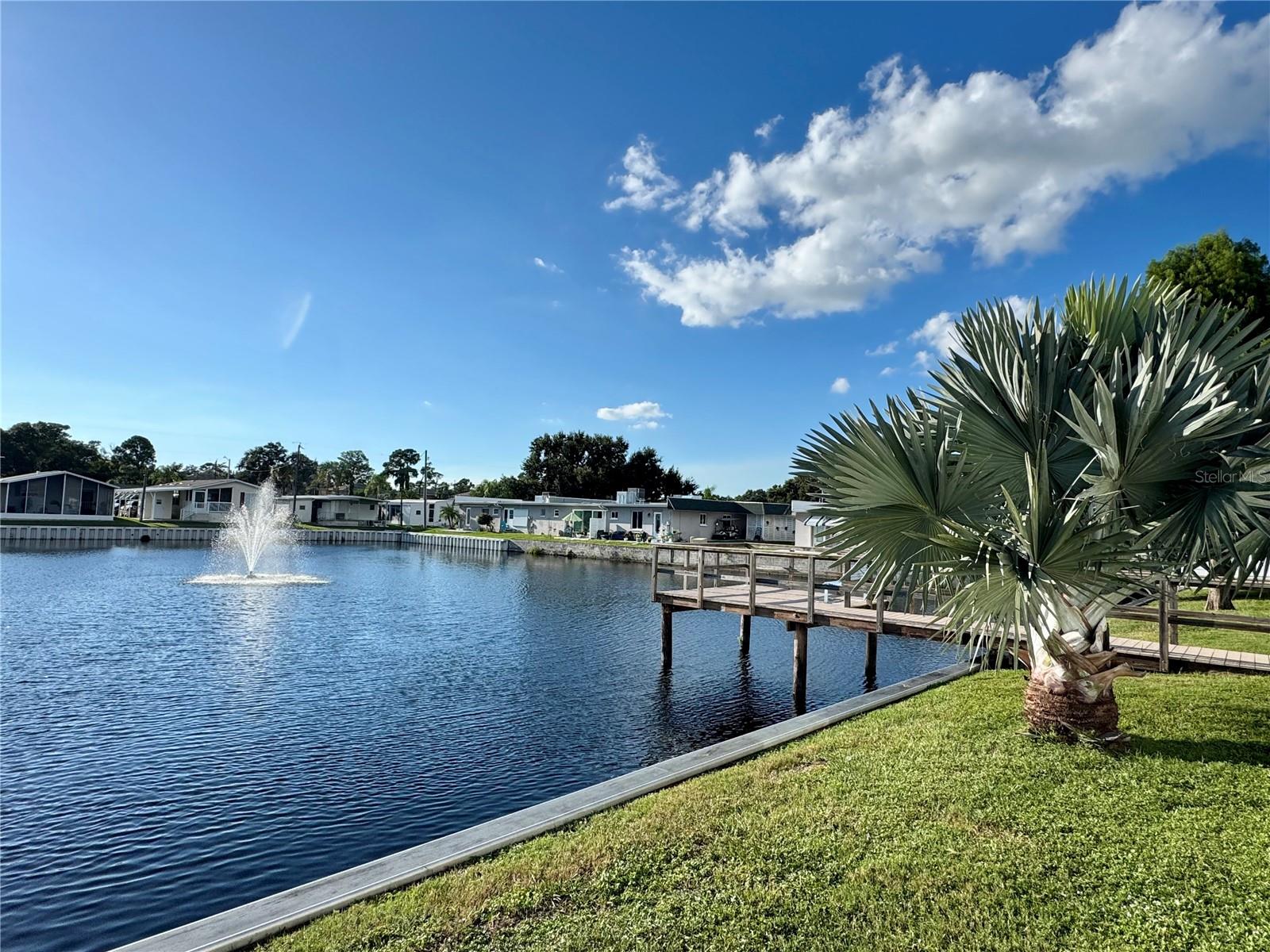 DUNEDIN PALMS UNREC - Residential
