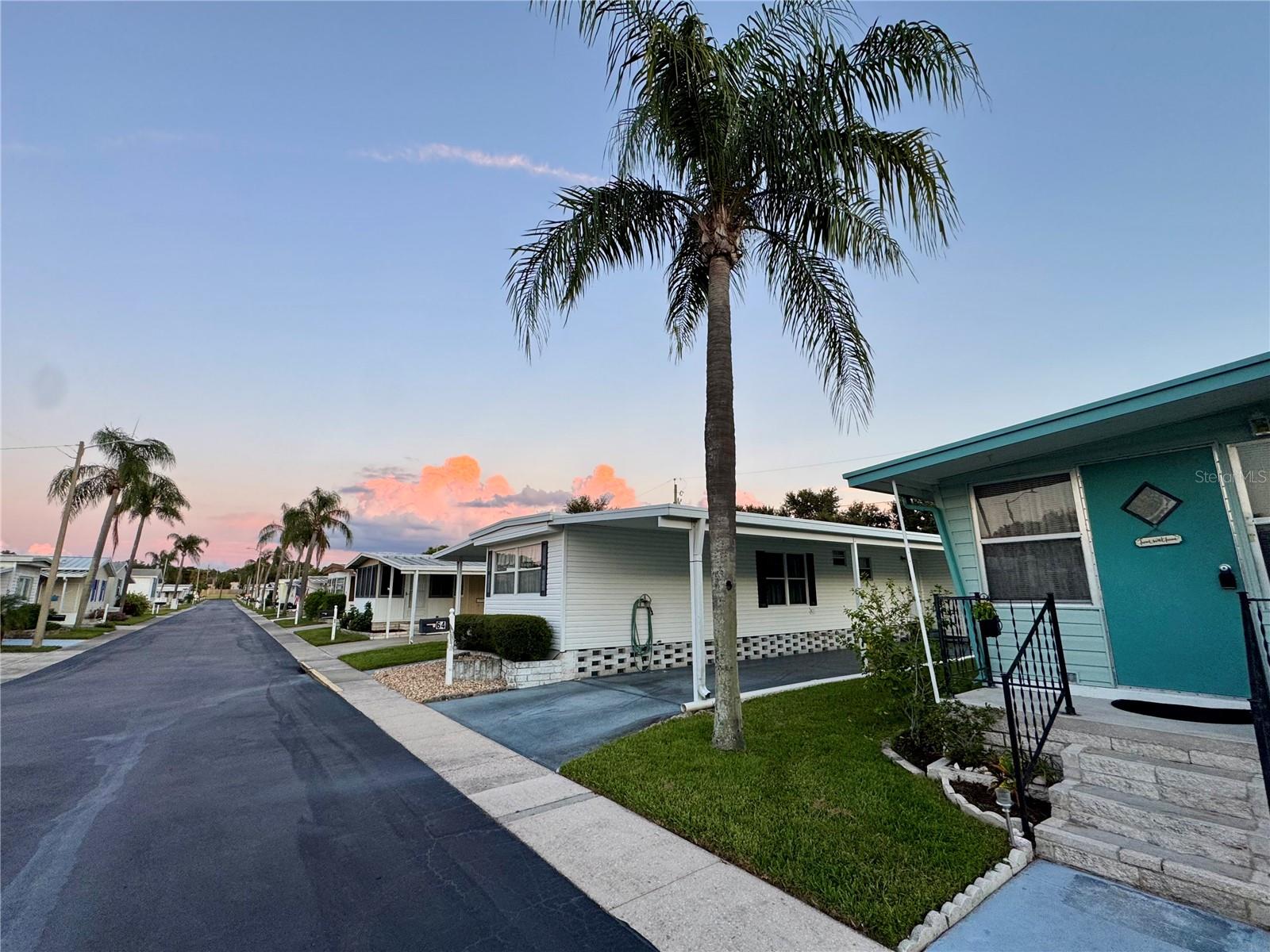 DUNEDIN PALMS UNREC - Residential