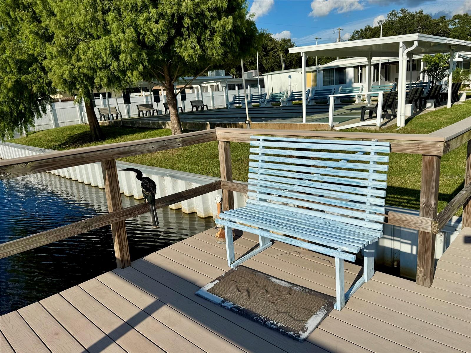 DUNEDIN PALMS UNREC - Residential