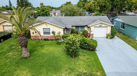 A home in PORT RICHEY