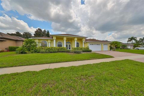 A home in SUN CITY CENTER