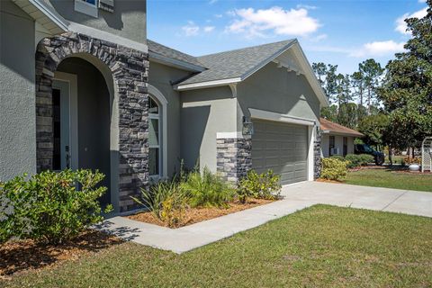 A home in PALM COAST