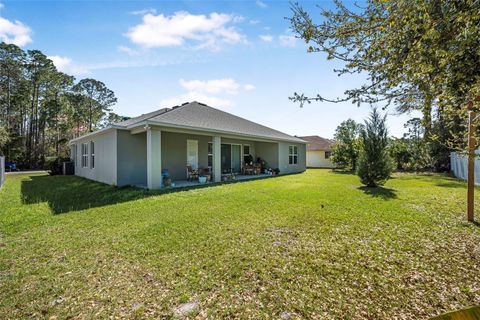 A home in PALM COAST