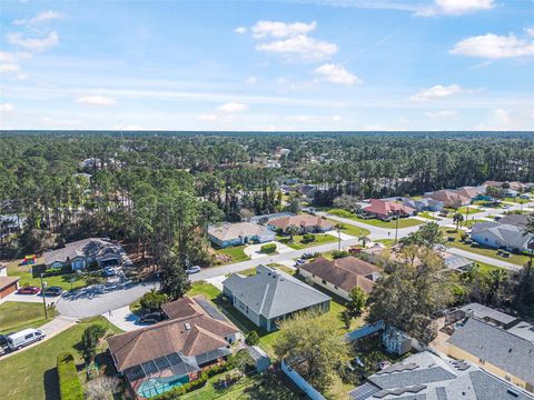 A home in PALM COAST