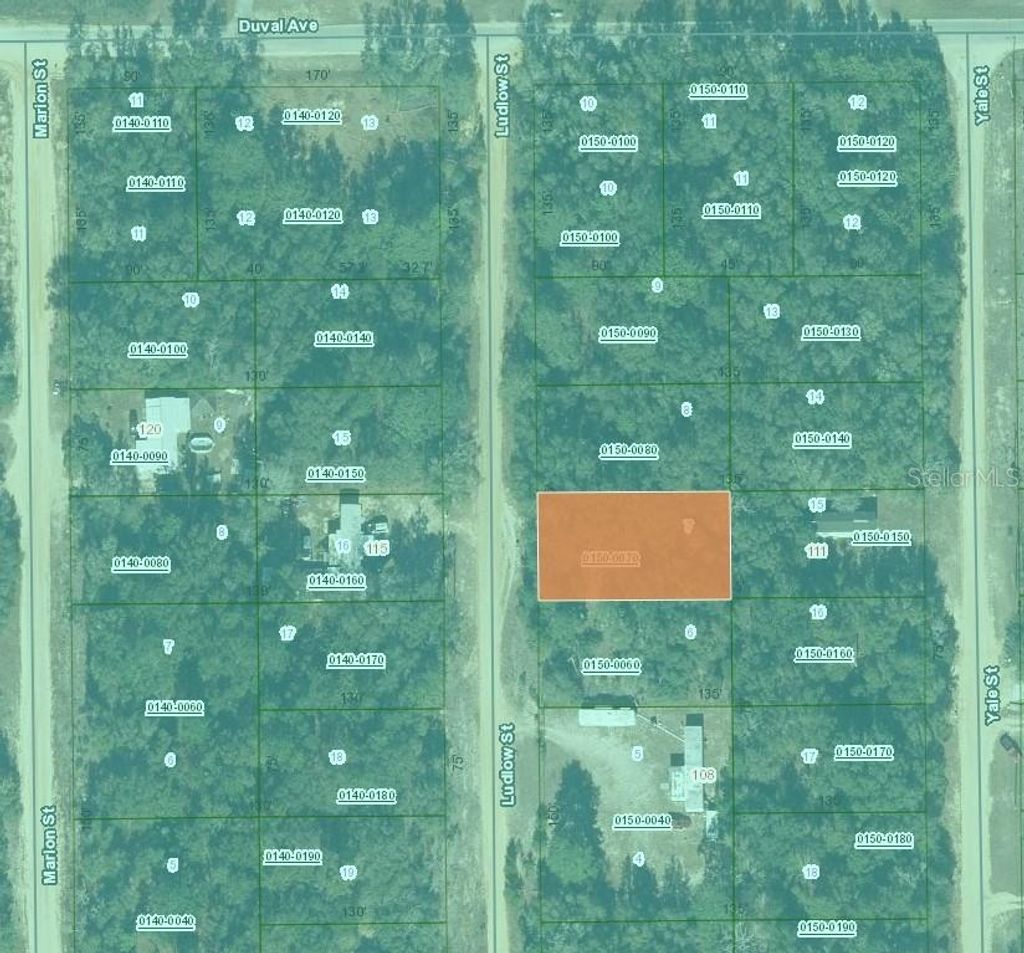 Photo of Ludlow Street, Interlachen, FL 32148 (MLS # O6386831)