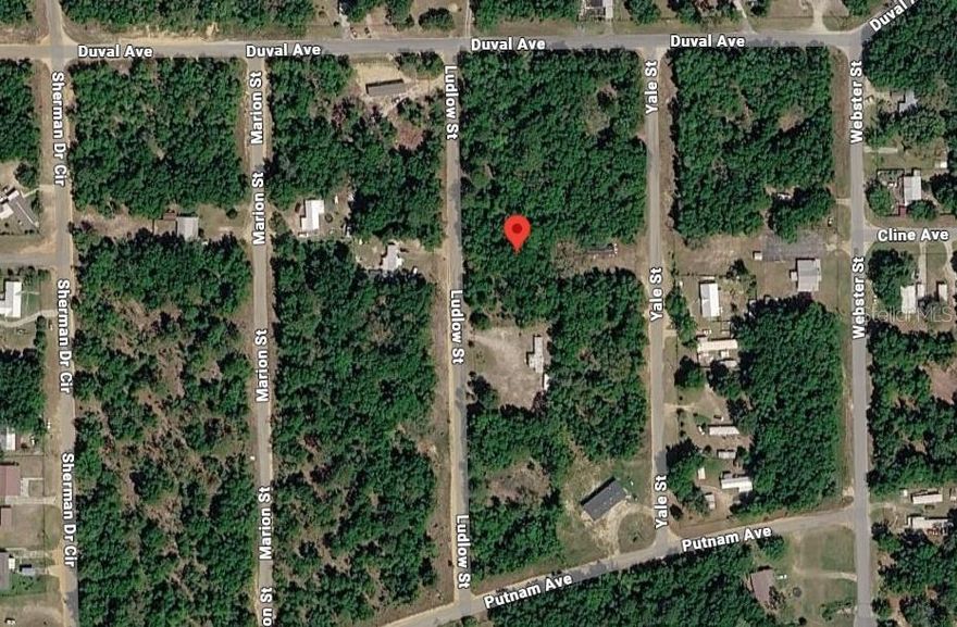 Build now or buy and hold in this quiet Interlachen location. No flood zone. Mobile homes allowed. Electricity nearby for easy development. Just minutes to State Road access, dining, parks, hiking, and area lakes for fishing and boating — plus a short drive to the beach.

Flexible. Convenient. Ready for your vision.

Secure this opportunity and call today!