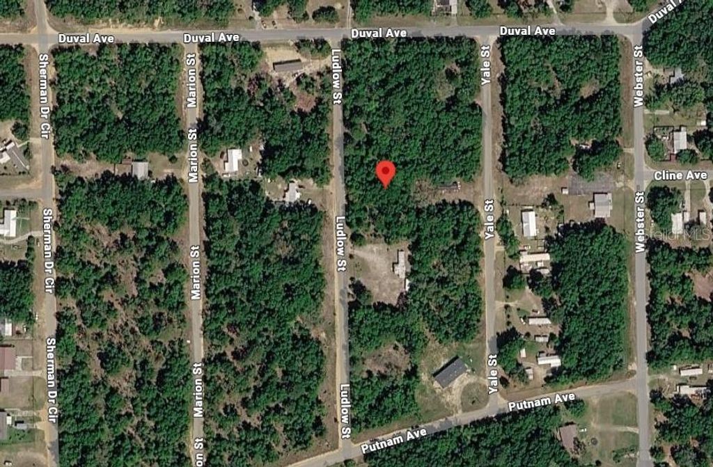 Photo of Ludlow Street, Interlachen, FL 32148 (MLS # O6386831)