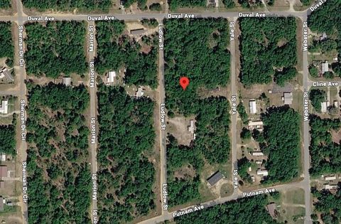 Photo of Ludlow Street, Interlachen, FL 32148 (MLS # O6386831)