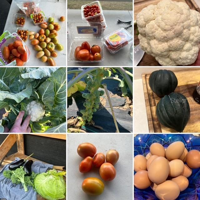 PLEASANT PLACES - Residential