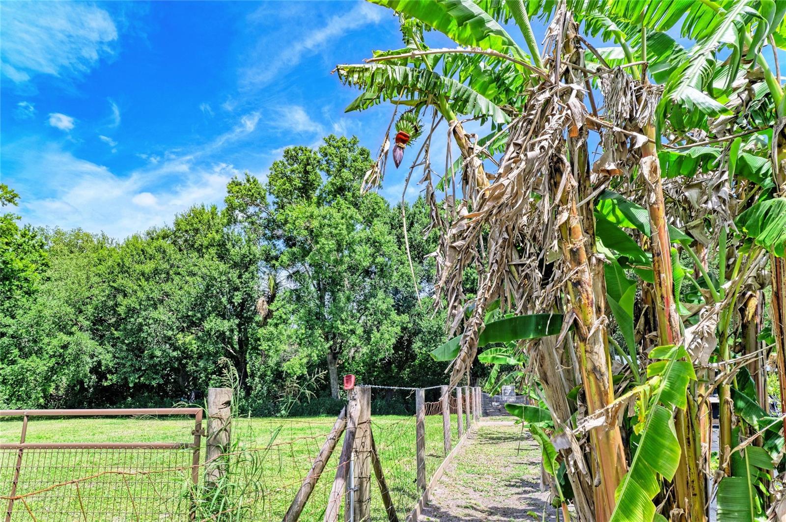 PLEASANT PLACES - Residential