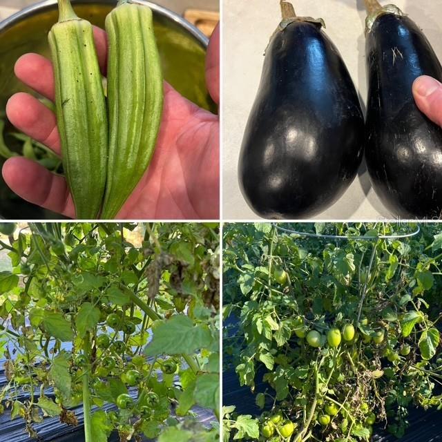 PLEASANT PLACES - Residential