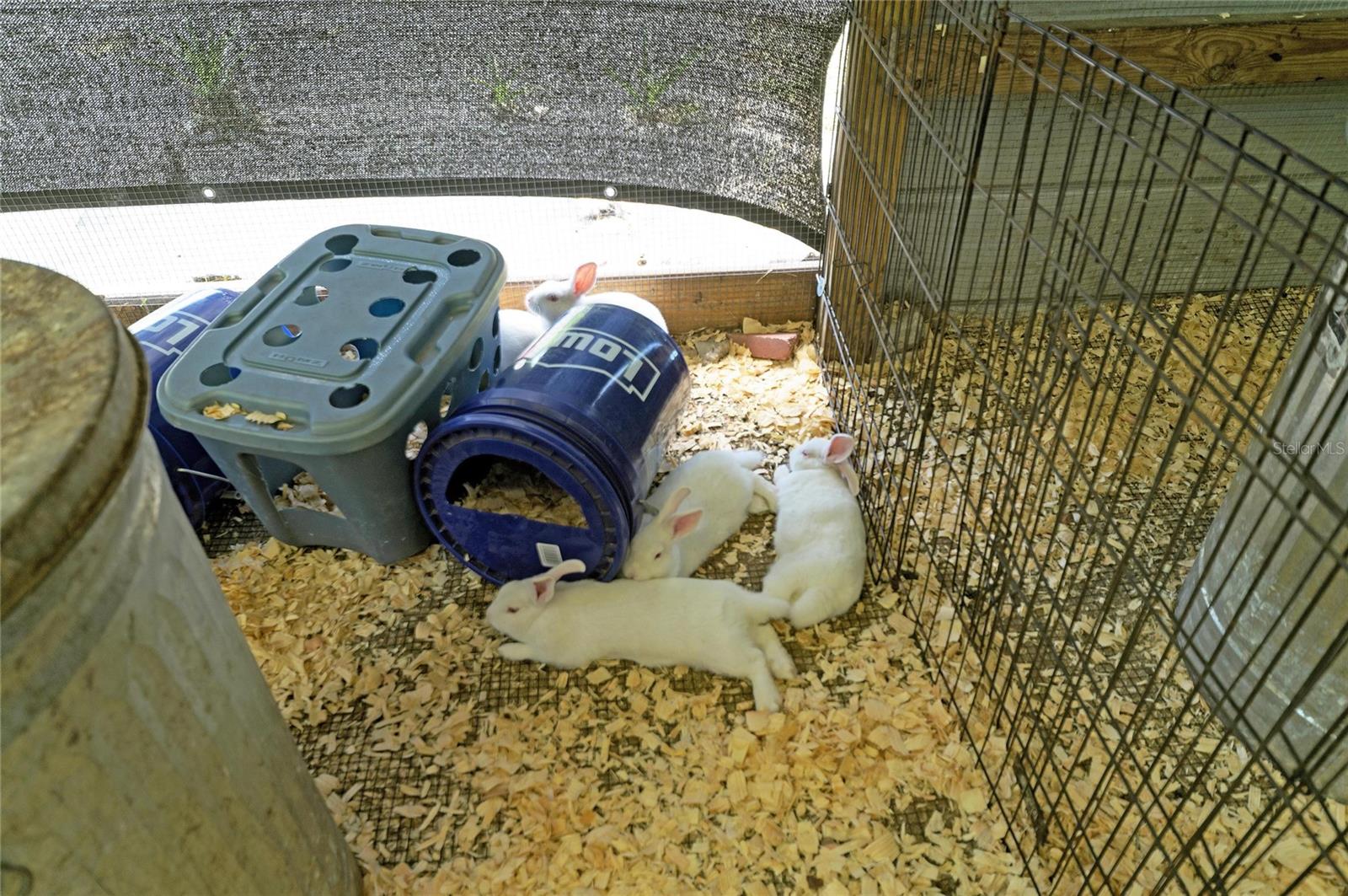 PLEASANT PLACES - Residential